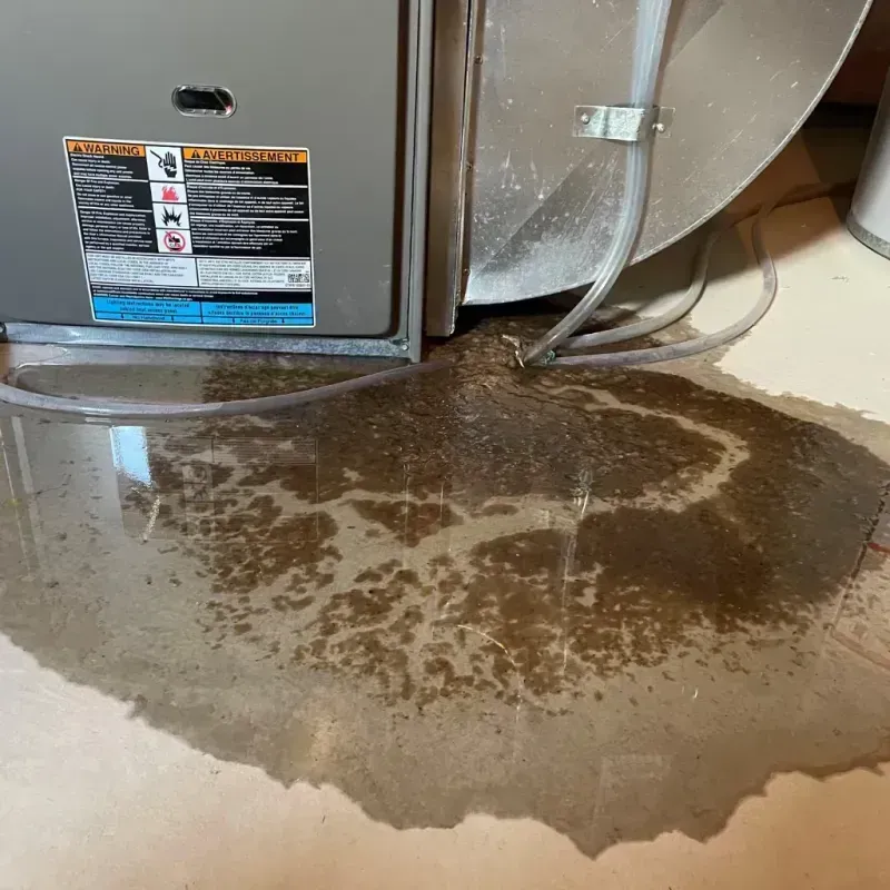 Appliance Leak Cleanup in Norcross, GA